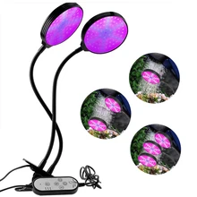POLKE LED coltiva la luce fito USB Fitolamp a spettro completo con controllo 5 dimmer livello 4/8/12H Timer per piante piantina fiore