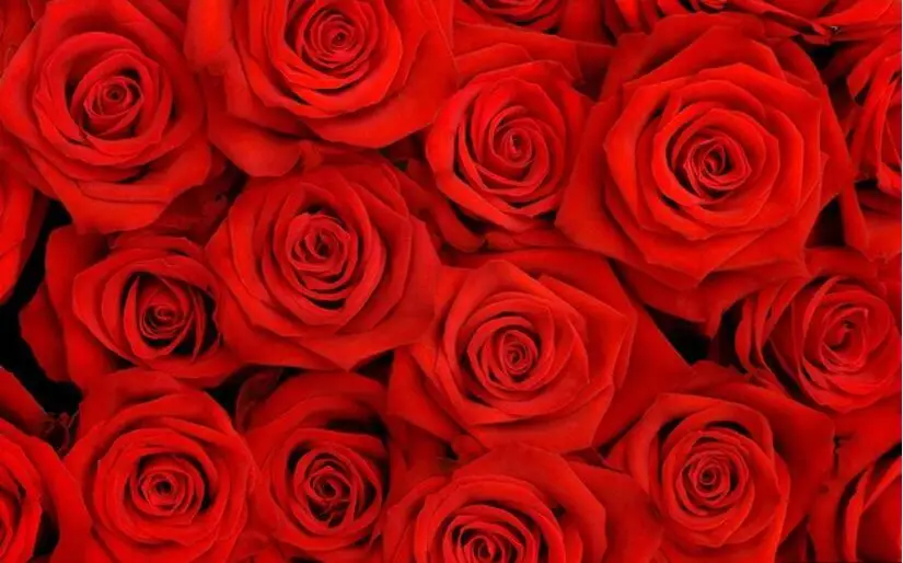 QQ截图20200906105818