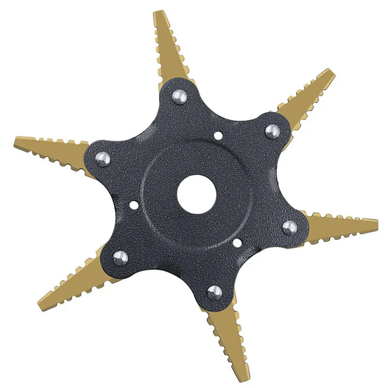 12123868823_1185384007