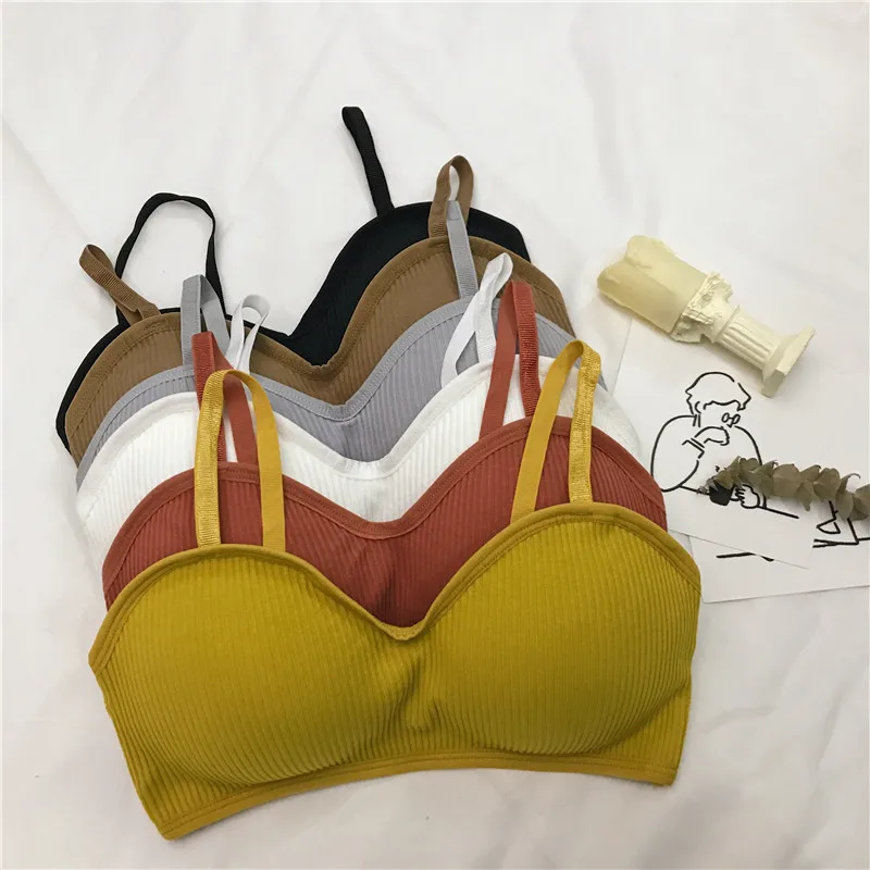 gm6Rjf6mz9QYJXg22TUQ4lsIb/4YPXFCCBYX