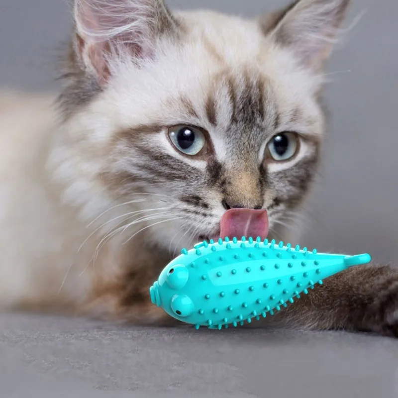 Силиконовая зубная щетка с Кошачьей Мятой, игрушки для кошек, Интерактивная игрушка для питомцев, для кошек, для чистки зубов, игрушка для кошек, товары для домашних животных