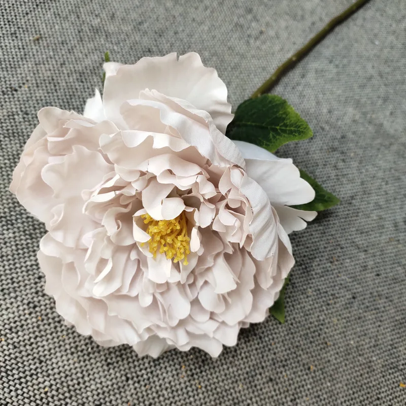 17596011556_1611482457