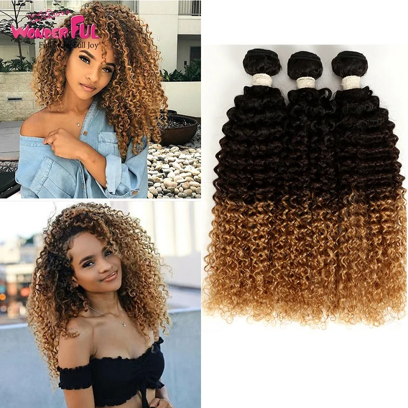 

Ombre Kinky Curly Human Hair Extensions Blonde Brown Curly Bundles Brazilian Weaves Natural/1B/4/27/30/99J 10-28 Inch