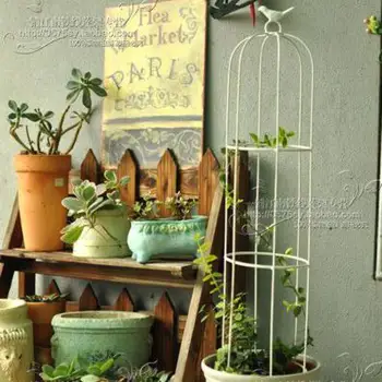 

New clematis special outdoor flower stand flower stand plant climbing frame suitable for 15 cm 1 gallon pot