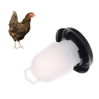 

Kettle Shape Plastic Chicken Water Drinking Bird Quail Poultry Drink Implement