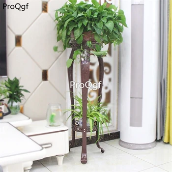 

Ngryise 1 Set height 105cm europe style plant shelf