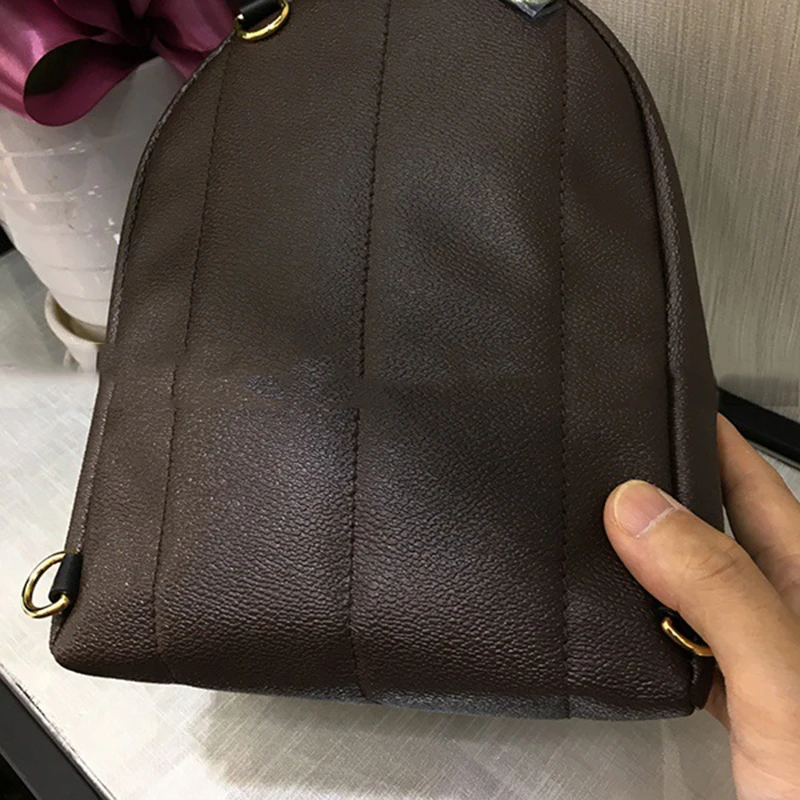Luxury-Backpack-Authentic-Canvas-Palm-Springs-Mini-Women-Bags-Famous-Designer-Classics-Lady-Shoulder-Bag-With (4)
