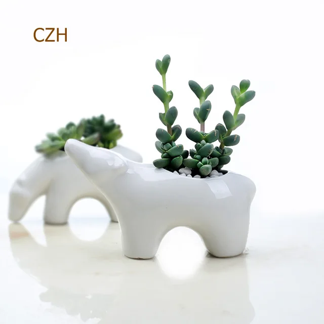 8808847307_1770840967