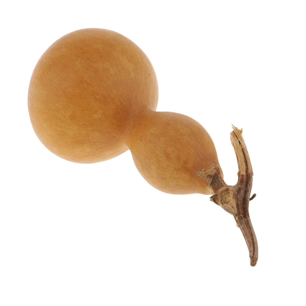 Natural BOTTLE GOURDS (DRIED & CLEANED) Small Calabash Gourd Craft DIY Decor