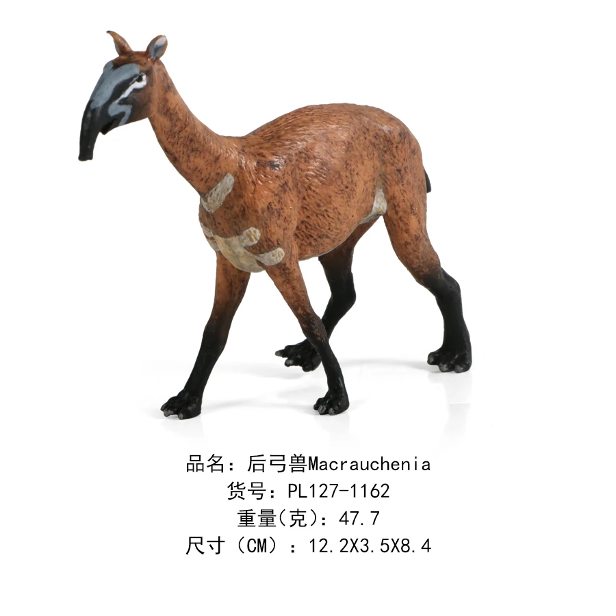 后弓兽Macrauchenia-1162