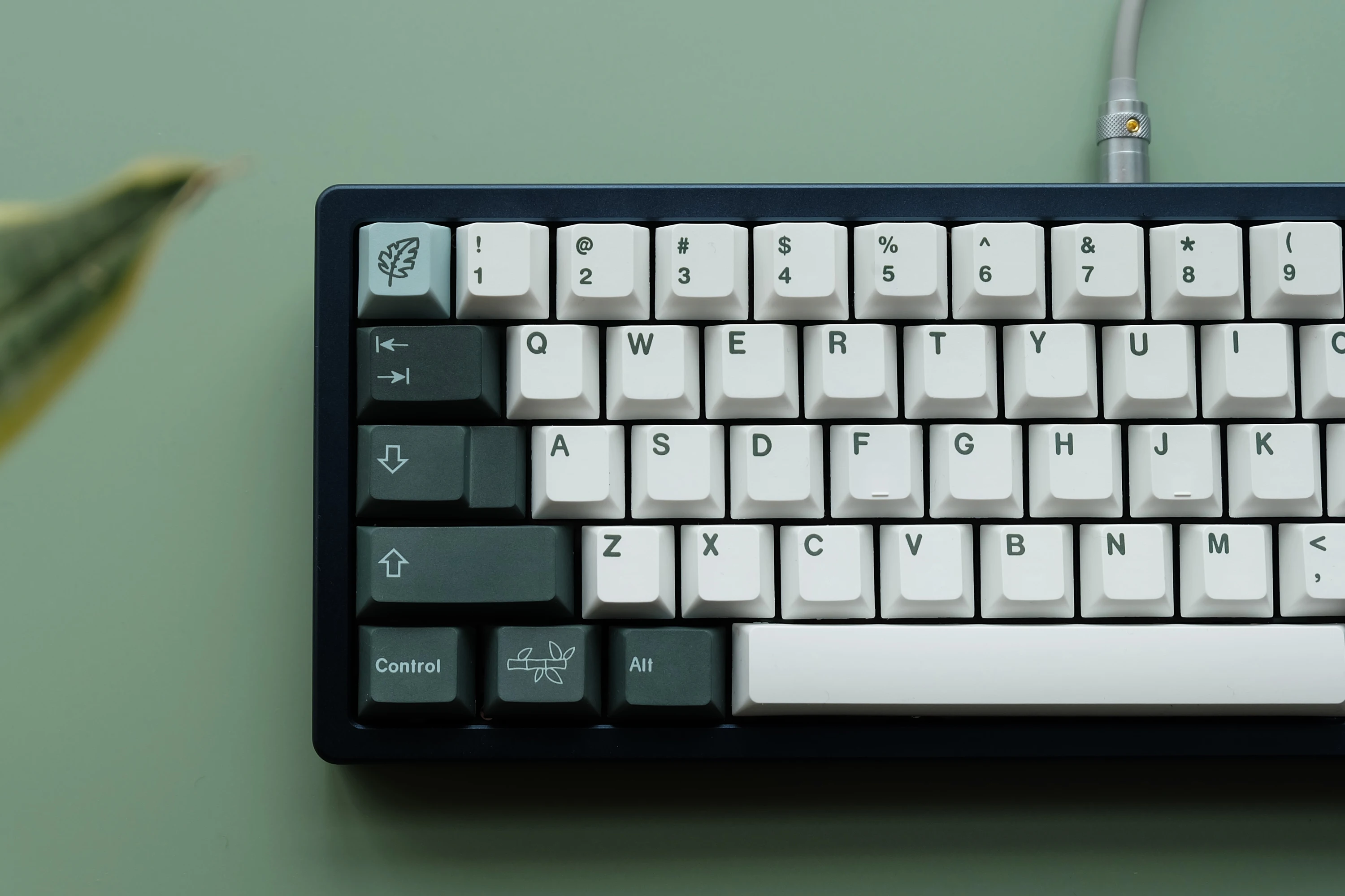 conjunto pbt tintura subbed keycap para teclado mecânico gmk botânico chave tampões cherry perfil com iso entrar barra de espaço