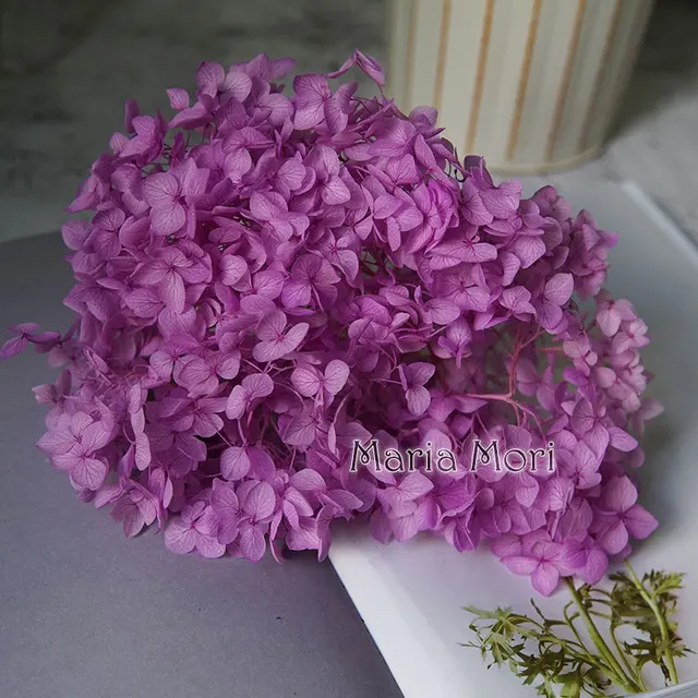 Anna Hydrangea  Flowers  Little  Leaves Preserved Hydrangea Decor  Office Decor  DIY Flowers Color 46