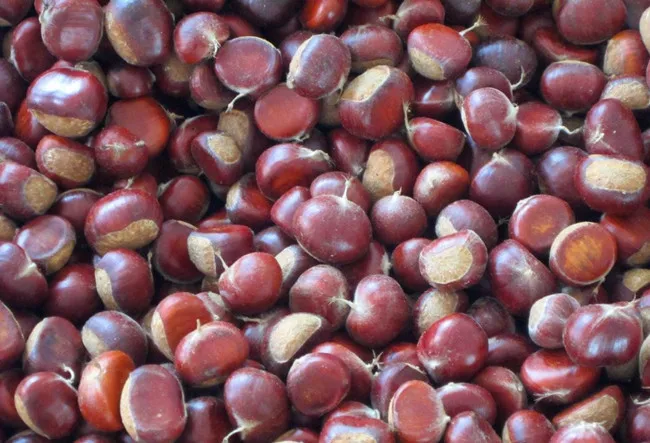 Тип каштана пилинг машина hazelnut овощечистка