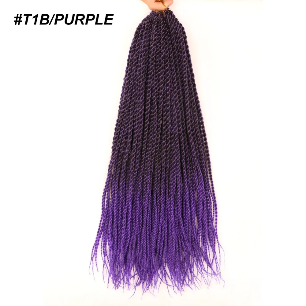 1B-PURPLE