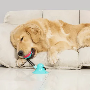 

Pet Supplies Hot Selling New Style Sucker Dog Toy Molar Leakage Tableware Resistance Bite Ball Pet Molar