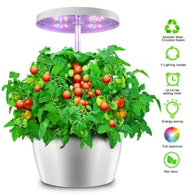

2022 New Indoor Home Garden Nursery Pots Hydroponics System Intelligent Box With Grow Light Educational Toys For Children