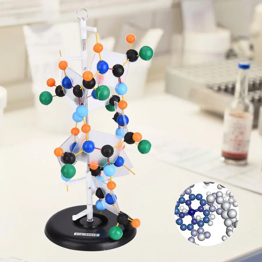 Высокое качество пластик биологический белок вторичная структура модель учебное помощь экспериментальное оборудование инструмент