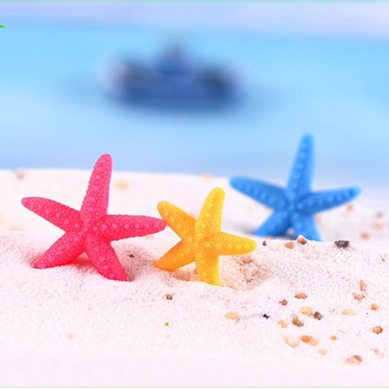 8764696574_393786582