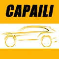 CAPAILI CAR DECORATION Store