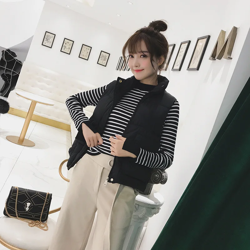 

Autumn And Winter WOMEN'S Dress 2019 New Style Waistcoat Winter down Jacket Cotton-padded Clothes Women's Korean-style Short Loo