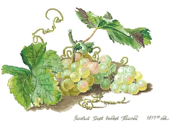 

Birds and Peach Blossoms and Birds Counted Cross Stitch Kit Cross stitch RS cotton with cross stitch Green grape