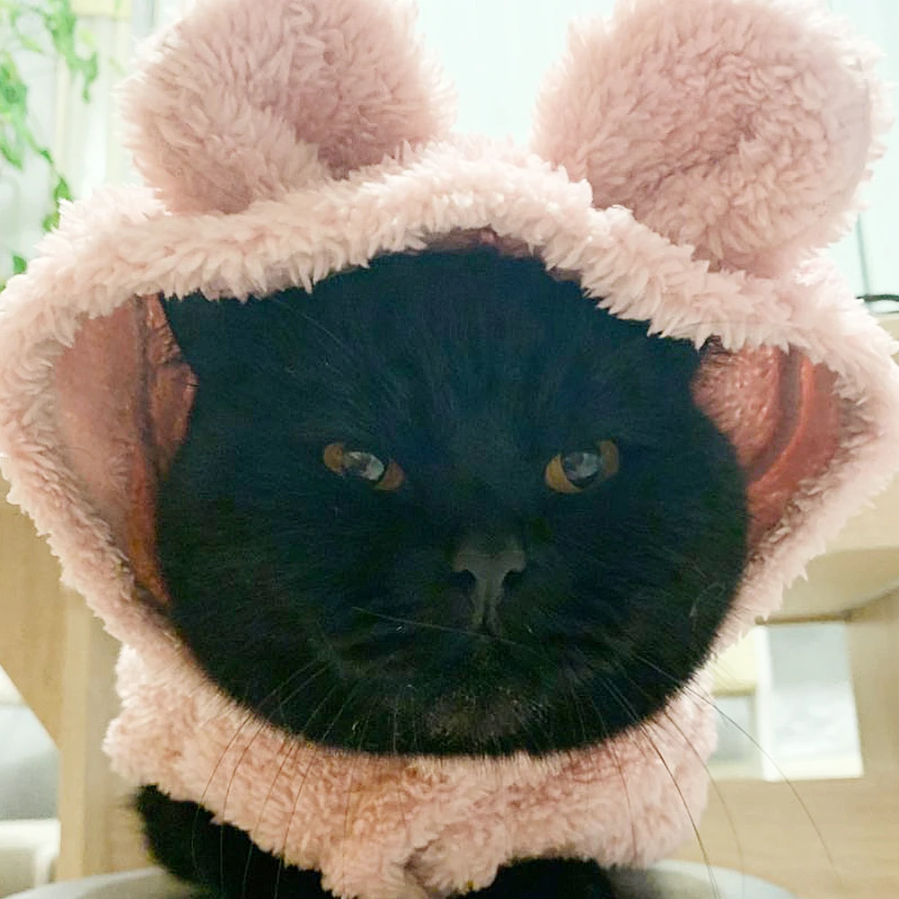 Зимние пальто для щенков, котят, новая Теплая Одежда для питомцев, плотная одежда с капюшоном для маленьких и средних кошек, одежда плюс бархатное пальто, куртки