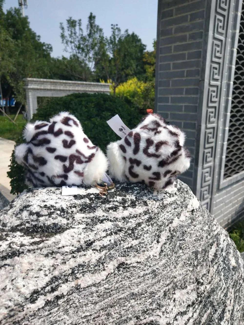 IMG_8557(20200828-151756)