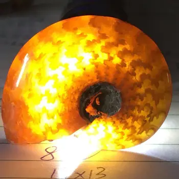 

Natural Stone Ammonite Fossils Seashell Snail Pendants Loose Gemstone Beads DIY 19QC