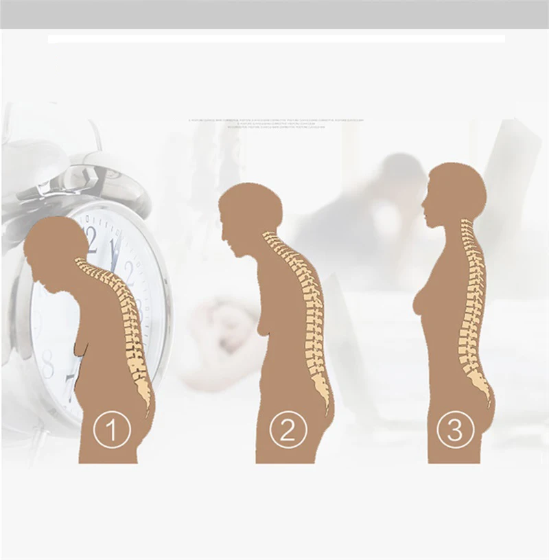 11801729040_101634241