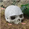 head bone Украшение для аквариума, полый динозавр, смола, Череп, аквариум, кость, орнамент, пейзаж, пасхальный камень, разбитая бочка, руины пирата, Boate - Цвет: head bone