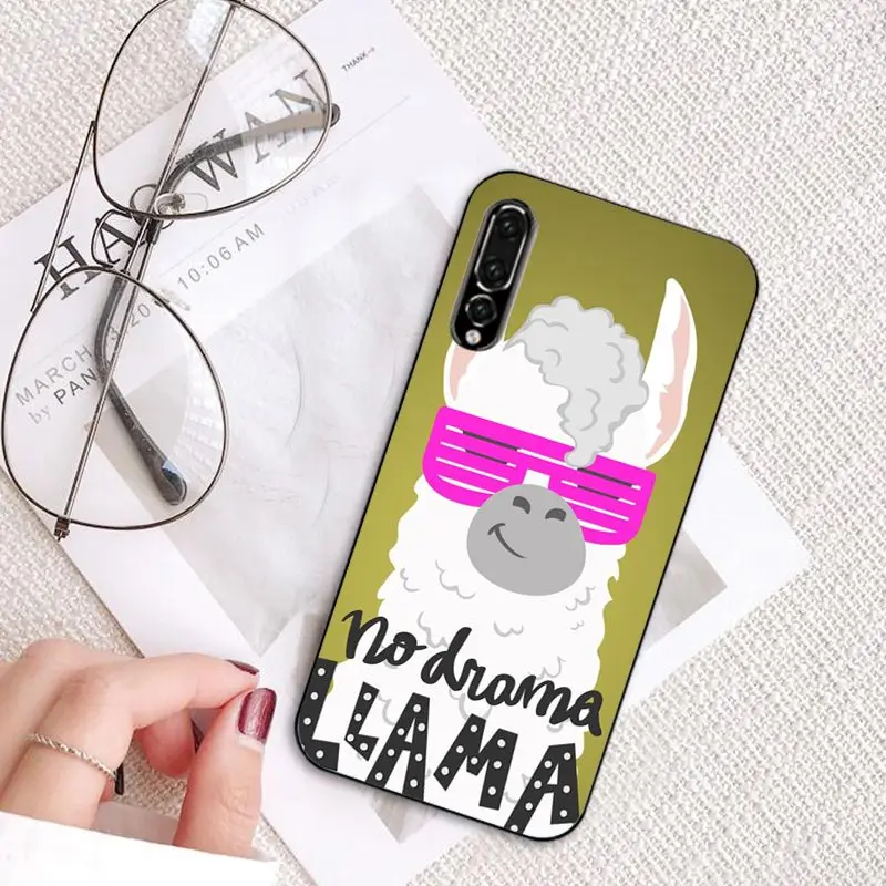 Cartoon Lama Llama Alpacas Animal