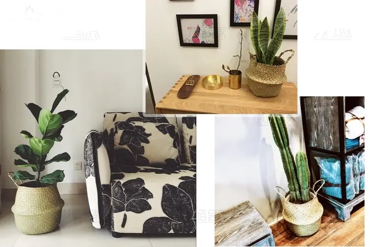 TB2BiwUkrBmpuFjSZFuXXaG_XXa_!!3006296342