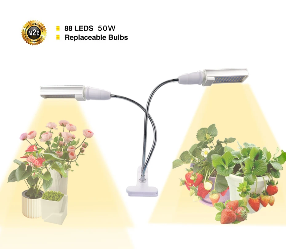 HTB1BwV1Xbr1gK0jSZR0q6zP8XXaX