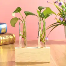 Винтажные террариумные вазы, стеклянная бутылка, деревянные рамки, Гидропонные растения, бонсай для террариума, для дома, офиса, романтическое украшение