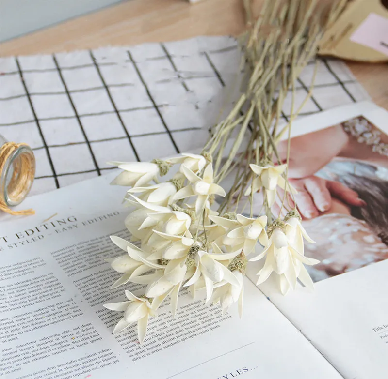 11037385798_1442471722