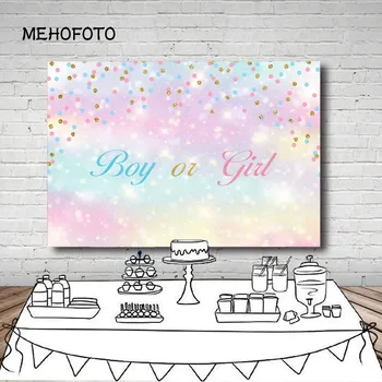 

Vinyl Photography Background Gender Reveal Party Boy or Girl Prince or Princess Royal Shower Twin Decor Backdrop Photo Studio