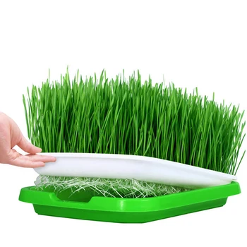 

5set Double-layer Seed Sprouter Tray Hydroponics Basket Seeding Germination Tray Drop Shipping - Green + White