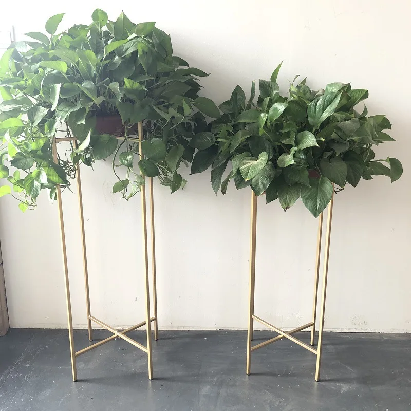 12715159377_257158244