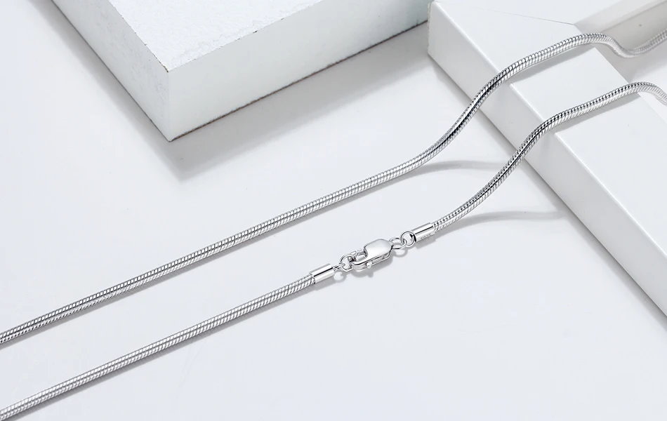 SC31-SCENE-IMG_4848-R