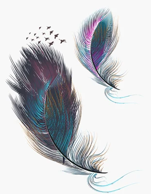 Customized color feather glass stickers transparent opaque decorative bathroom anti-transparent window glass film from plastic - Цвет: 80X198cm