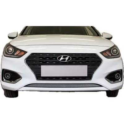 Protective mesh on the grille of radiator Hyundai Solaris 2 2017- | Автомобили и мотоциклы