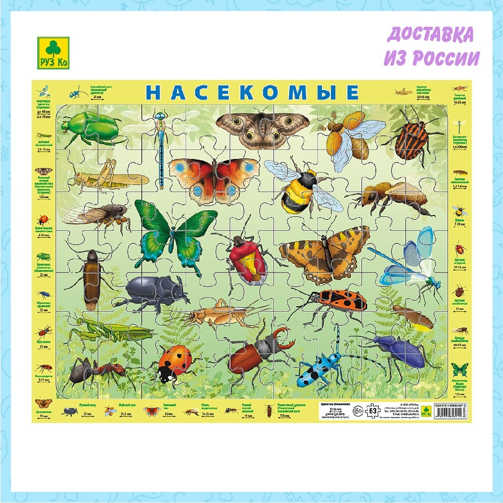 Детский пазл на подложке (1шт.) РУЗ Ко. Насекомые России. 36х28 см 63 эл. | Игрушки и