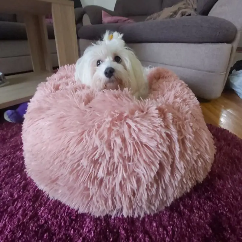 Питомник кошка собака диван-кровать круглый зимние теплые мягкие Pet спальная подушка для дивана плюшевые кровать любимчика коврик собачка кошка 50/60/70 см