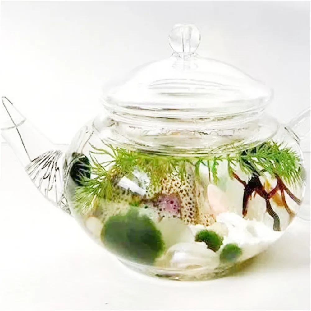 Япония Подлинный аквариум мяч Ландшафтный 1 см хлорелла водоросли Marimo Happy окружающей среды зеленый шарик из морской водоросли EZLIFE PT0305