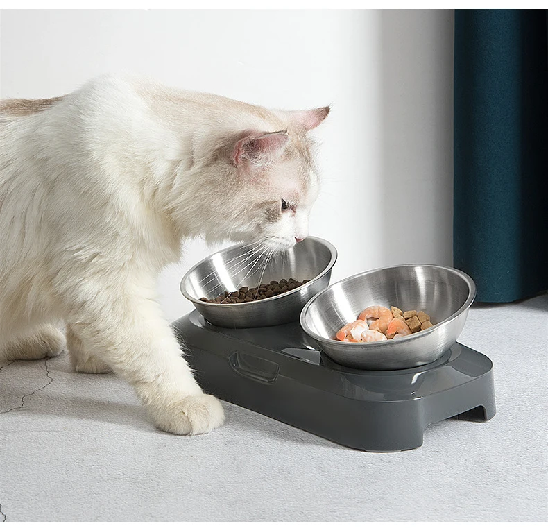 Pet Bowl Cat Double Bowls with Raised Stand Non-slip Food Water Feeder Stainless Steel Cats Feeding Dishes for Dogs Supplies
