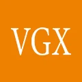 VGX Store