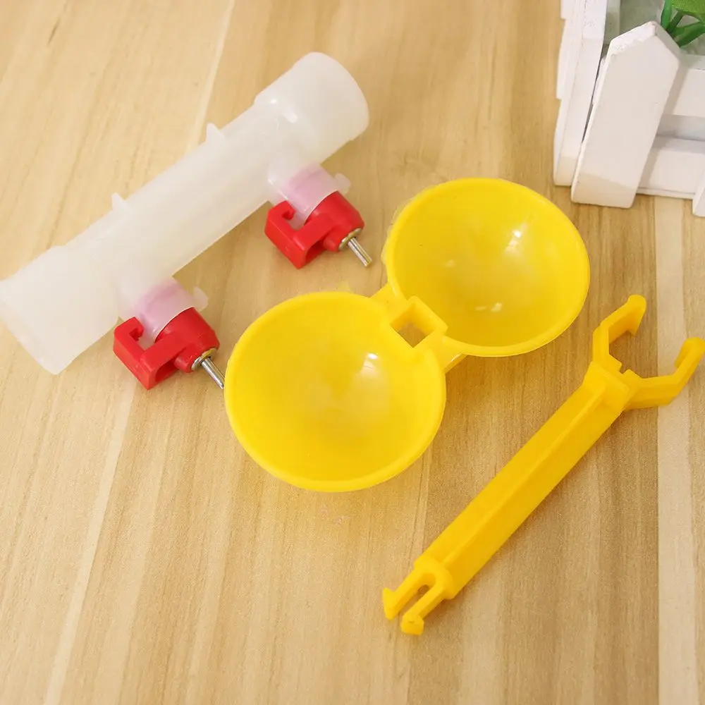 181527664924_IMG_0269