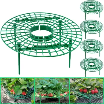 

20Pcs Strawberry Stand Frame Holder Fruit Gg Frame Plant Support Holder Far From Soil Avoid Ground Rot