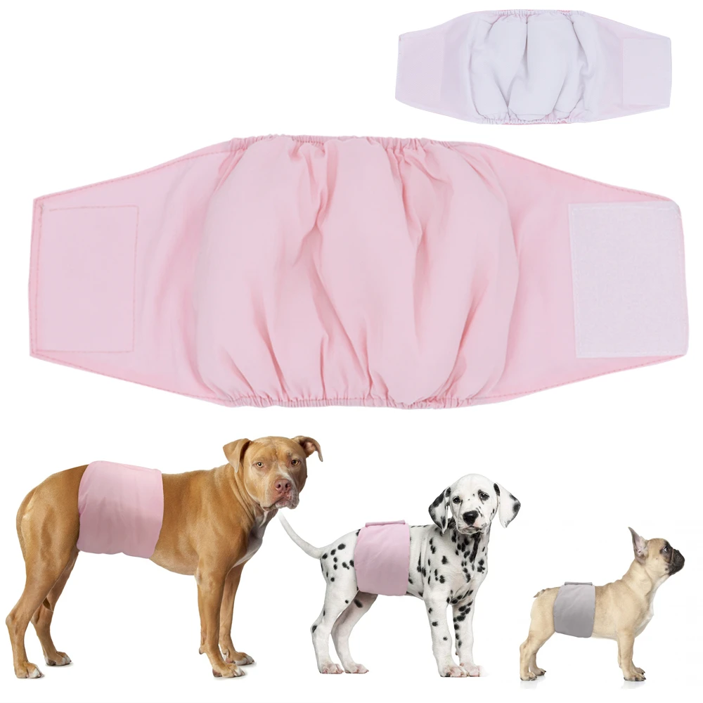 Pet Dog Diaper Female Dog Shorts Pants Washable Pet Physiological Diapers  Underwear Sanitary Panties For Small Medium Girl Dogs - Dog Shorts -  AliExpress