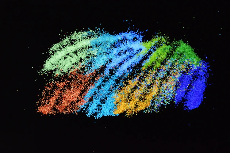 8589709462_1603543523